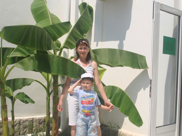 Лилия Нечаева