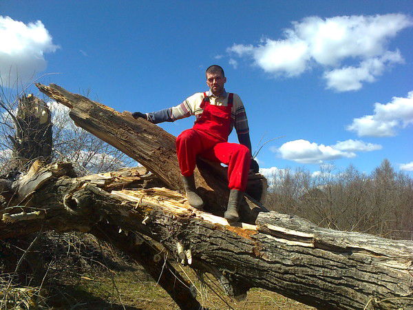 Дмитрий Ильин