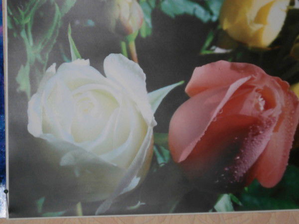 Надежда Бутакова