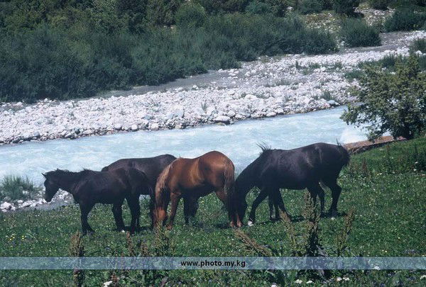 Каныбек Темирбеков