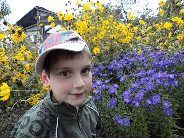 Максим Шевченко