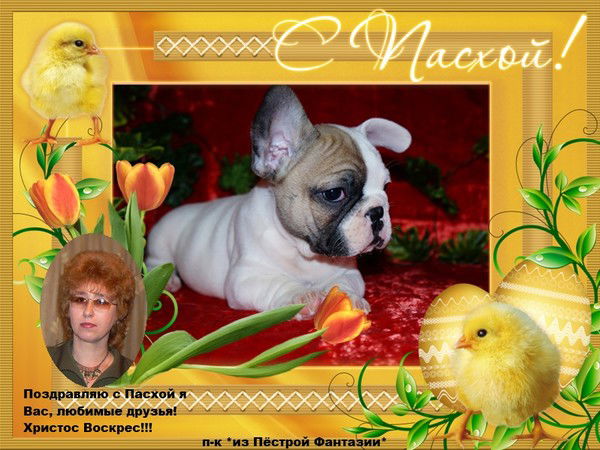 Алла Букатина