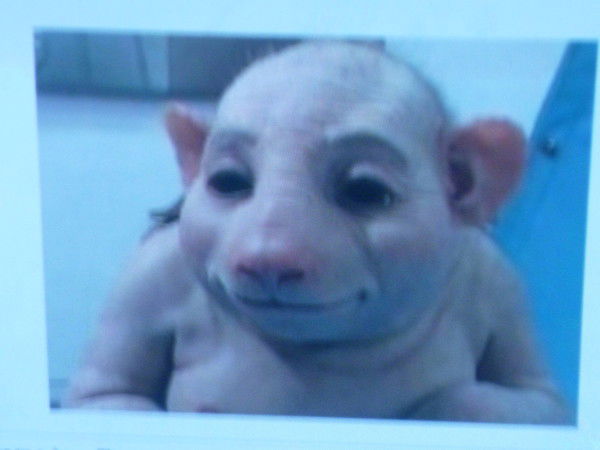 Татьяна Мигик