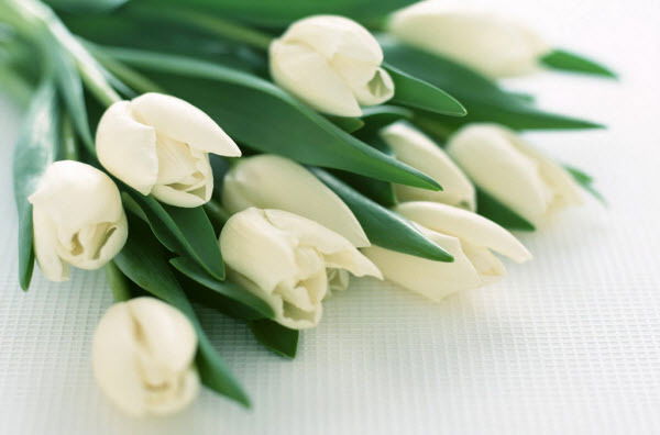 Гуляим Кузекпаева