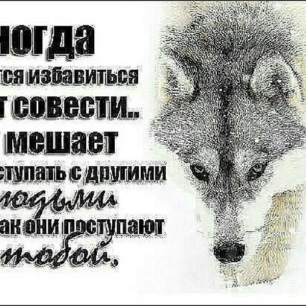 Сергей Викторович,