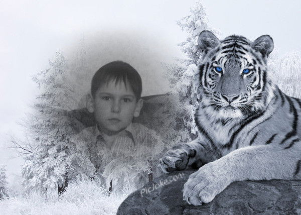 $$$Илья Третяк$$$