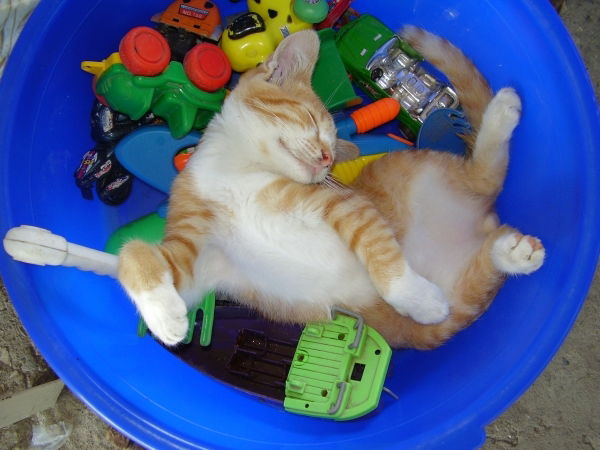 Юрий Черных