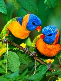 Женнечка 330