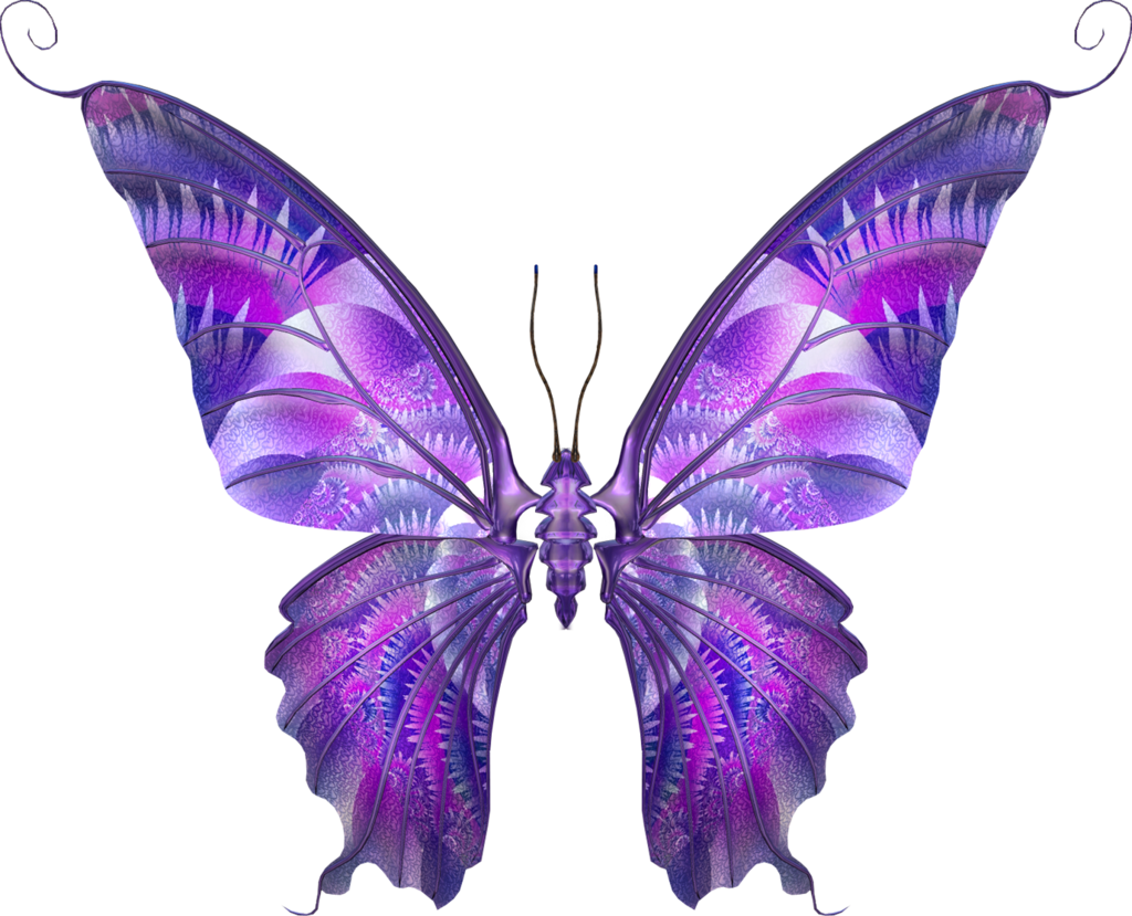 Фотограф Natasha Kulikova