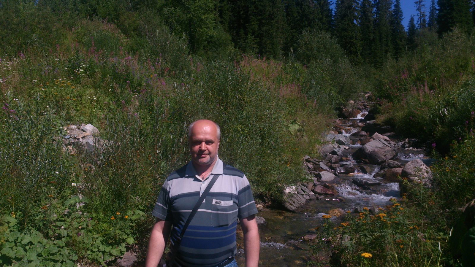 Александр Литвинов