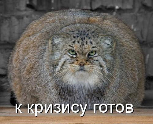 Эдуард Макаев