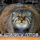 Эдуард Макаев