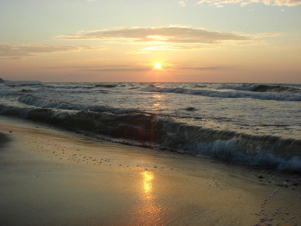 Маргарита Петрова