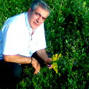 Zaqaria Rochikashvili