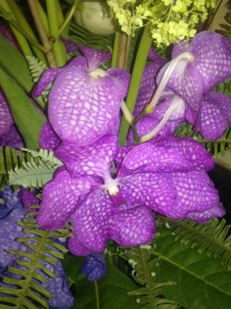 Наташа Никогда