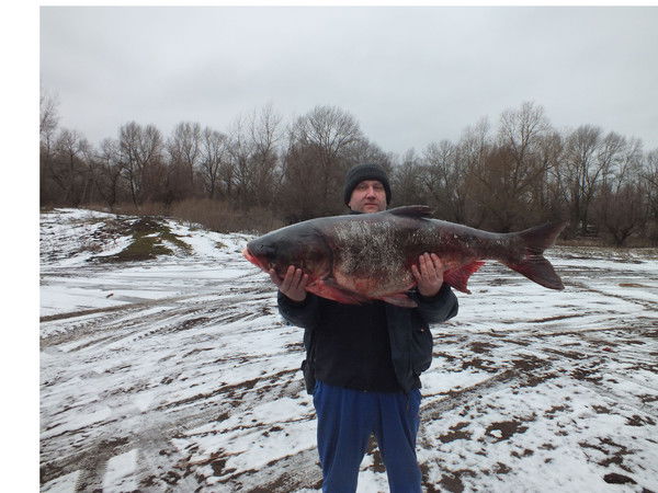 Константин Тихонов