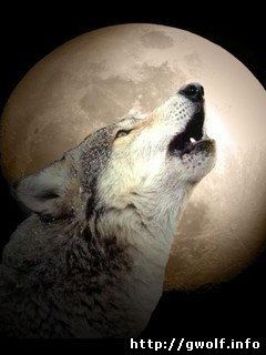 Илья Полейко