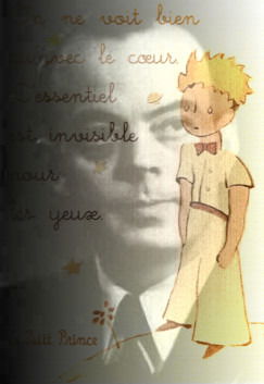 Летчик Севера