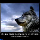 Тате Нур ))