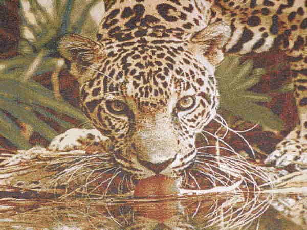 Ольга Жаданова