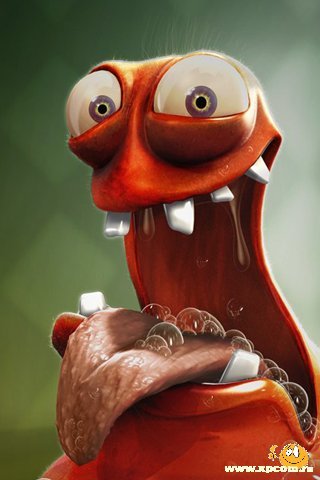 Санёк Шабашев