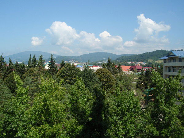 Юрий Бурдин