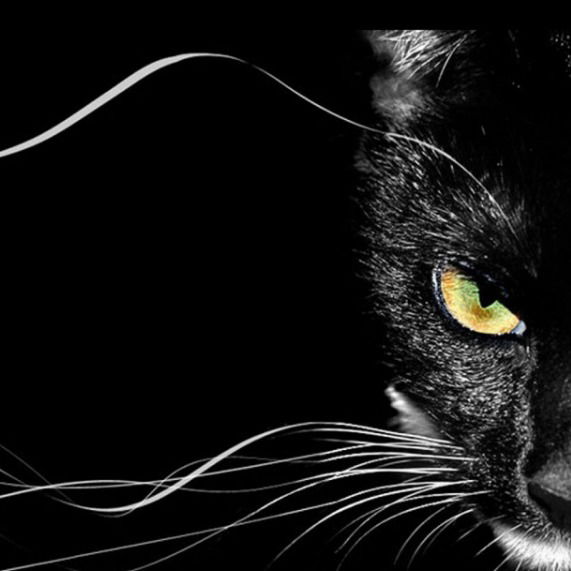 Елена Семёнова (Фролова)