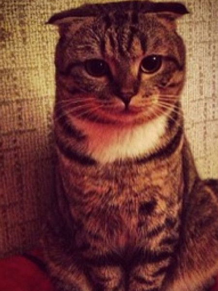 Игорь Коропачинский