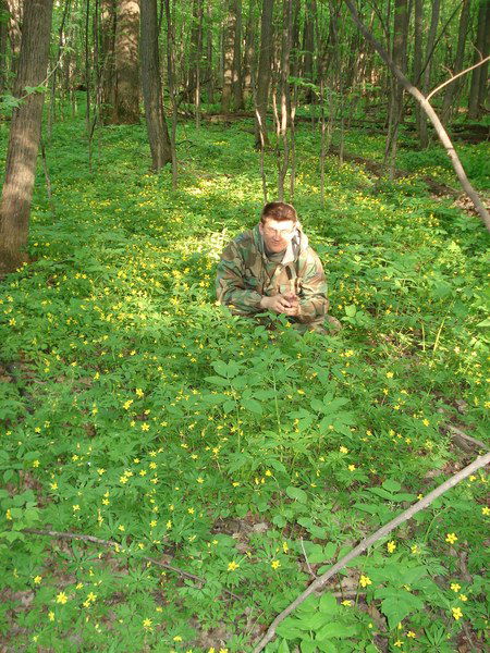 Дмитрий Долбин