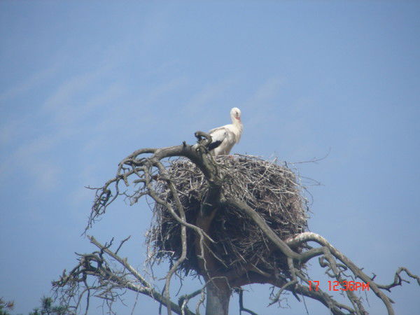 Стройбетон Сосново