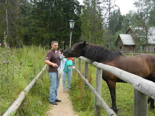 Николай Зимин
