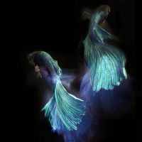 Наталия Доронина