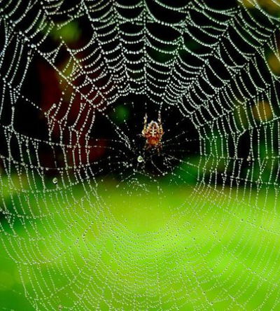 Павел Бессонов