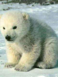 Игорь Мазурин