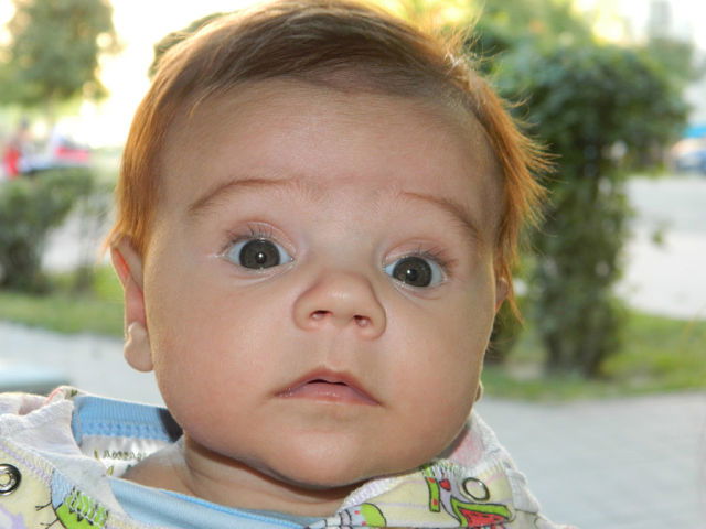 Станислав Куницин