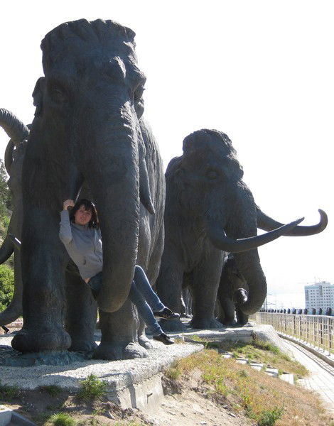 Елена Селехова