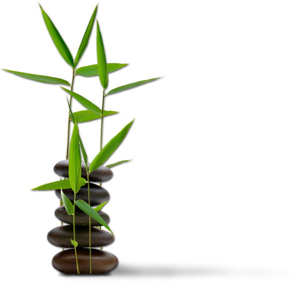 Ольга Григорьева