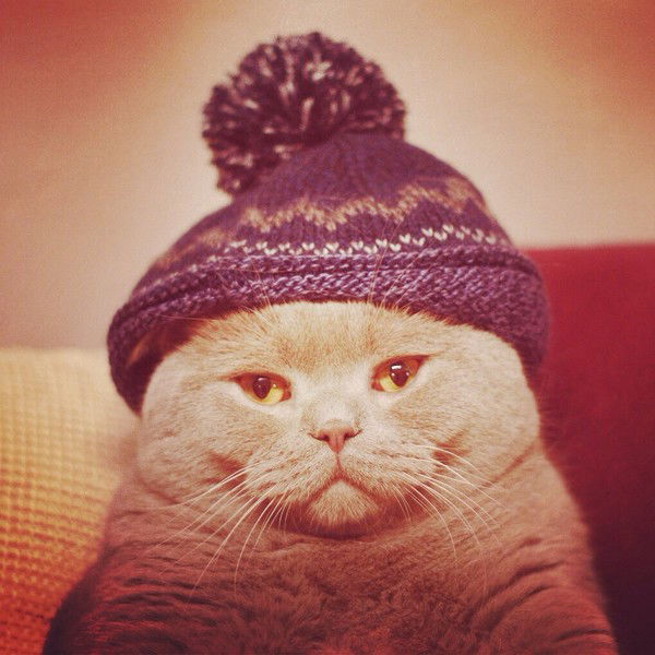 Виктория Касмынина