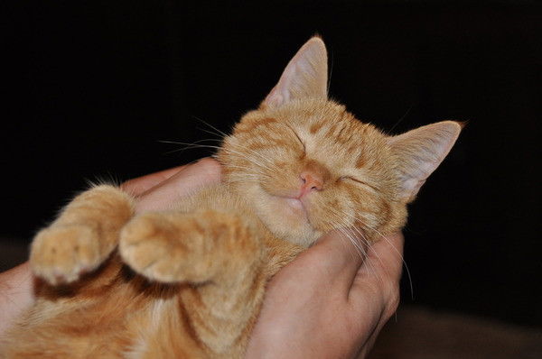 Ирина Курмангалиева