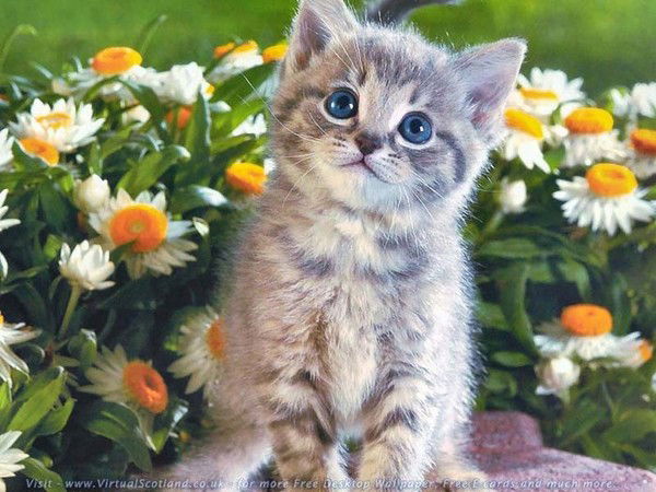 Заикина Мария