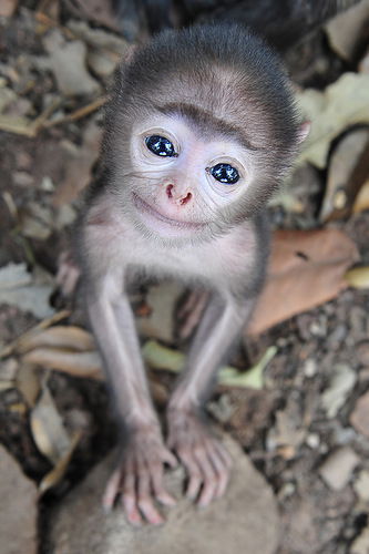 Борат Согдиев