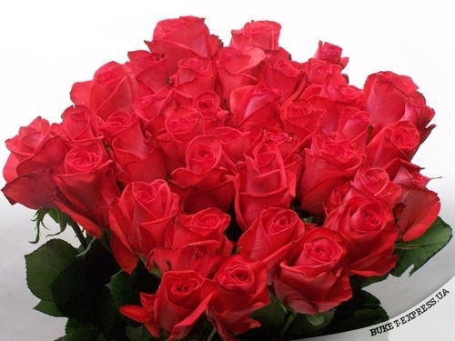 Kuralai Zhaiekeshova