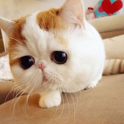 Виолетта Никишова