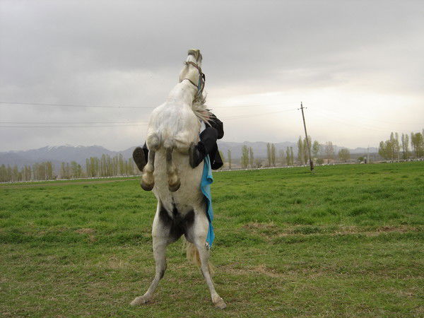 Роберт Иванович