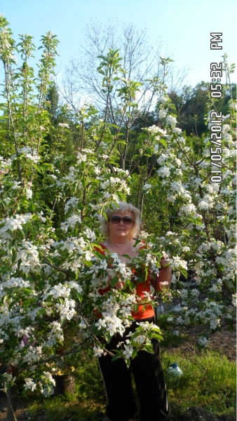 Eлена Мельник