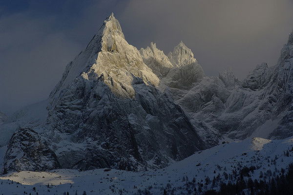 Дмитрий Дмитрий