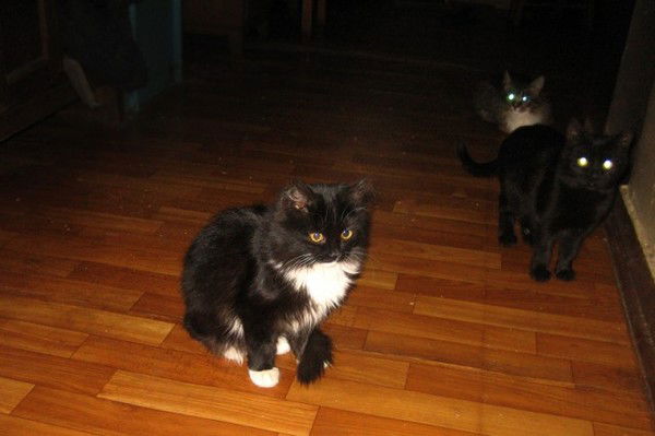 Самархан Негметов