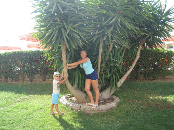 Наташа Лобастова