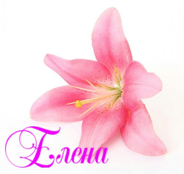 Елена Кузнецова