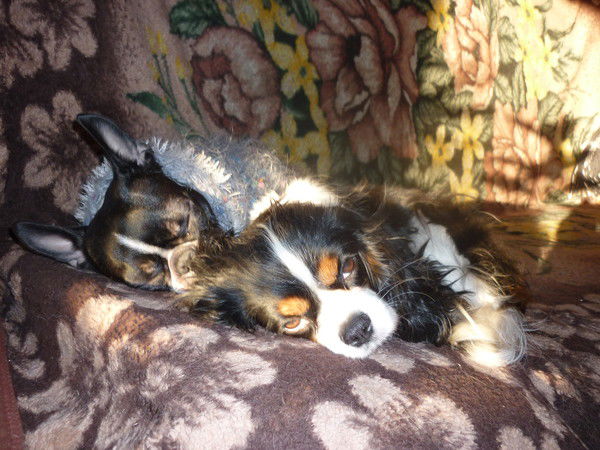 Светлана Пономарева